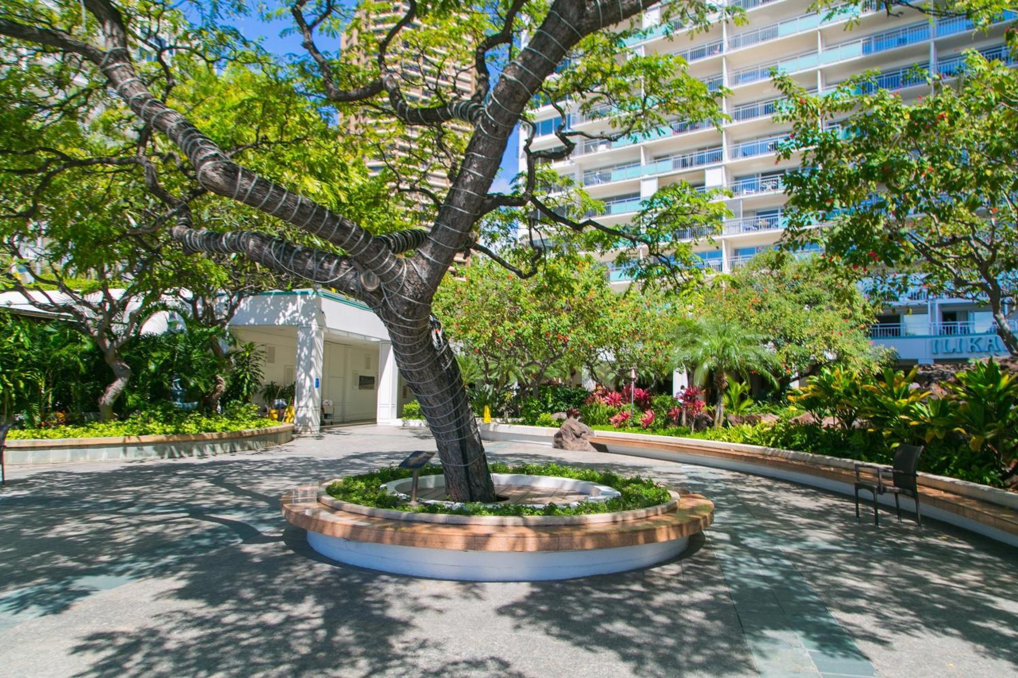 Ilikai Tower 1812 Lagoon View 1Br 檀香山 外观 照片